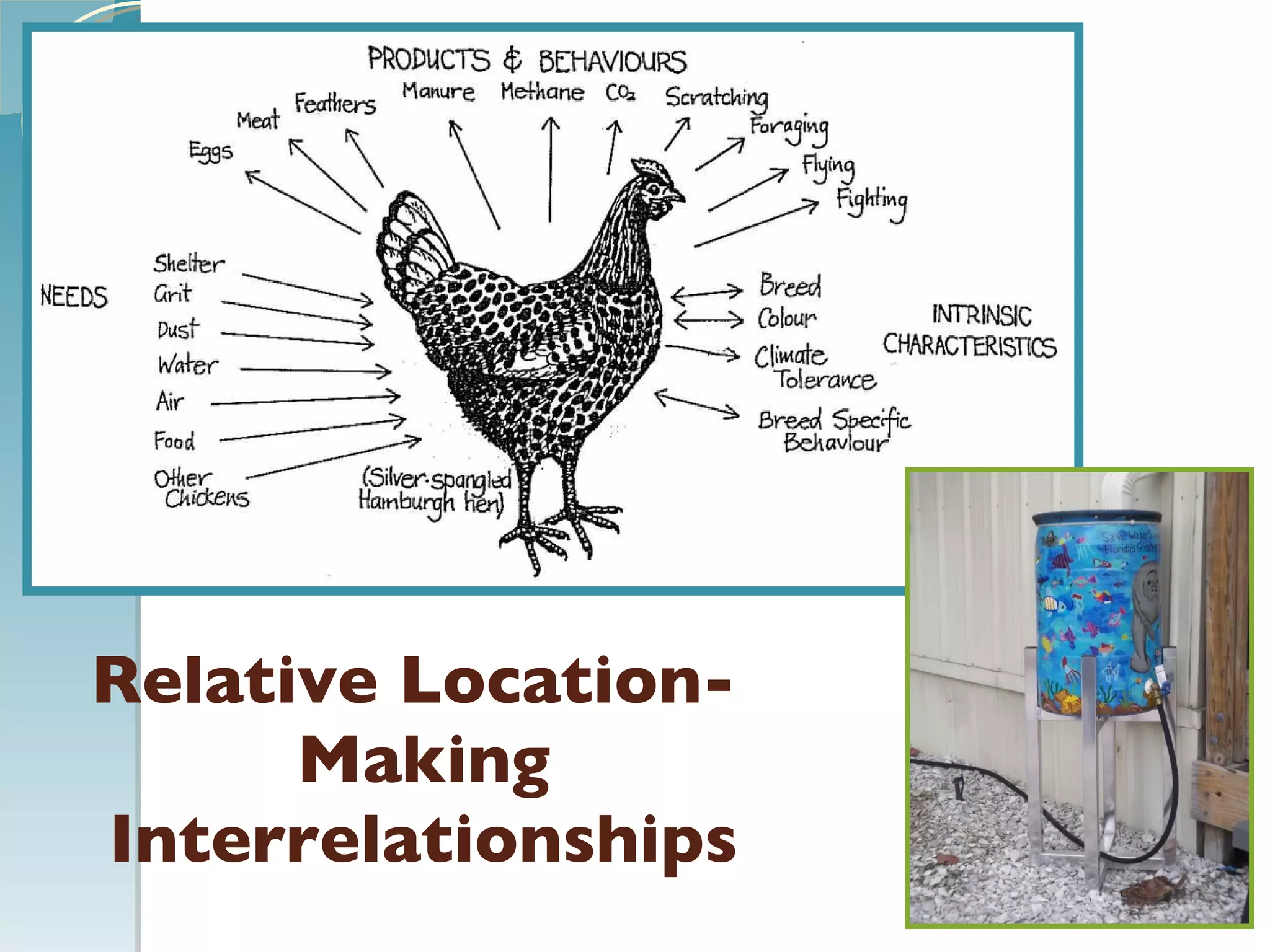 Relative Location-  Making Interrelationships 