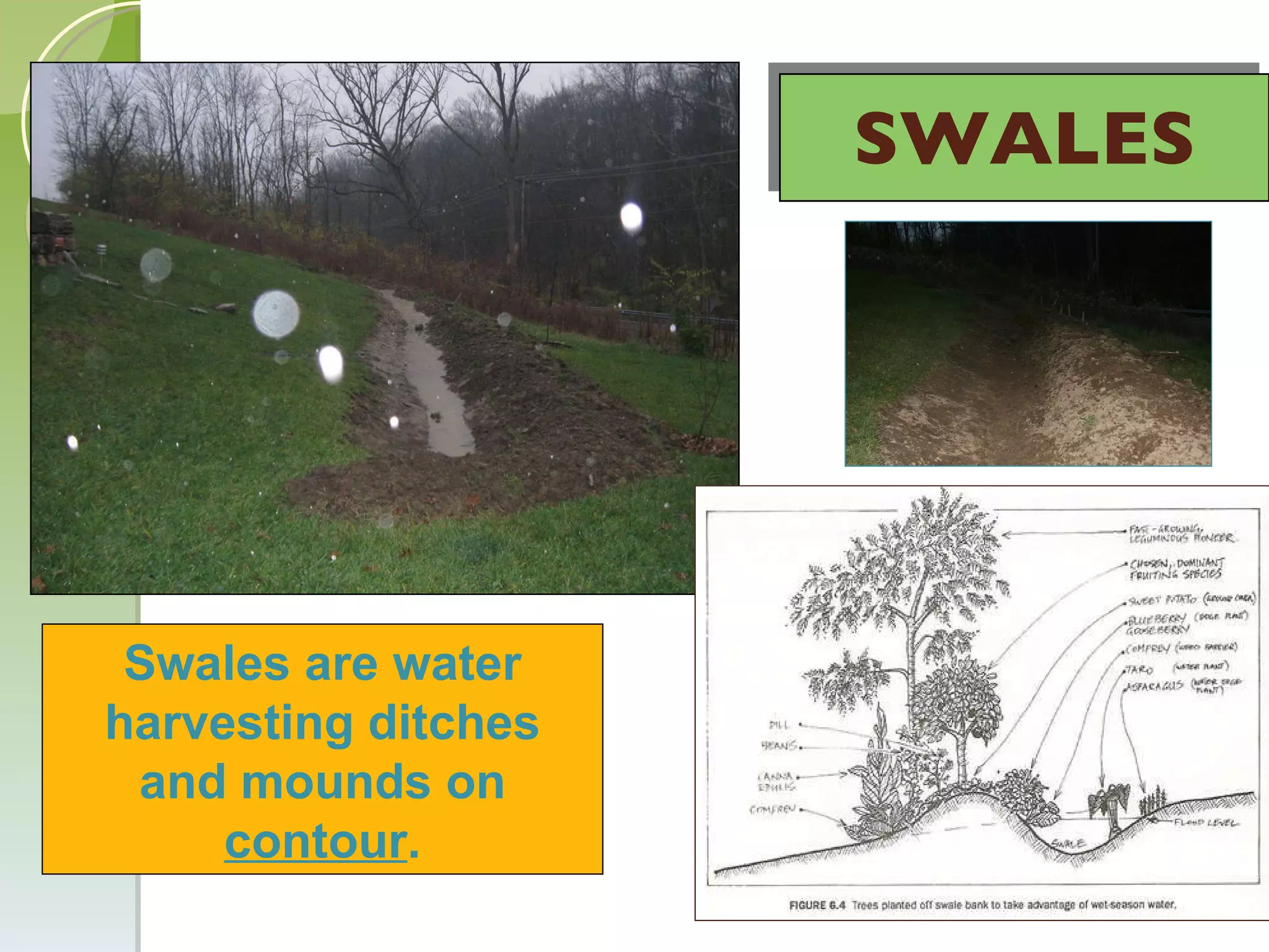 SWALES Swales are water harvesting ditches and mounds on  contour . 