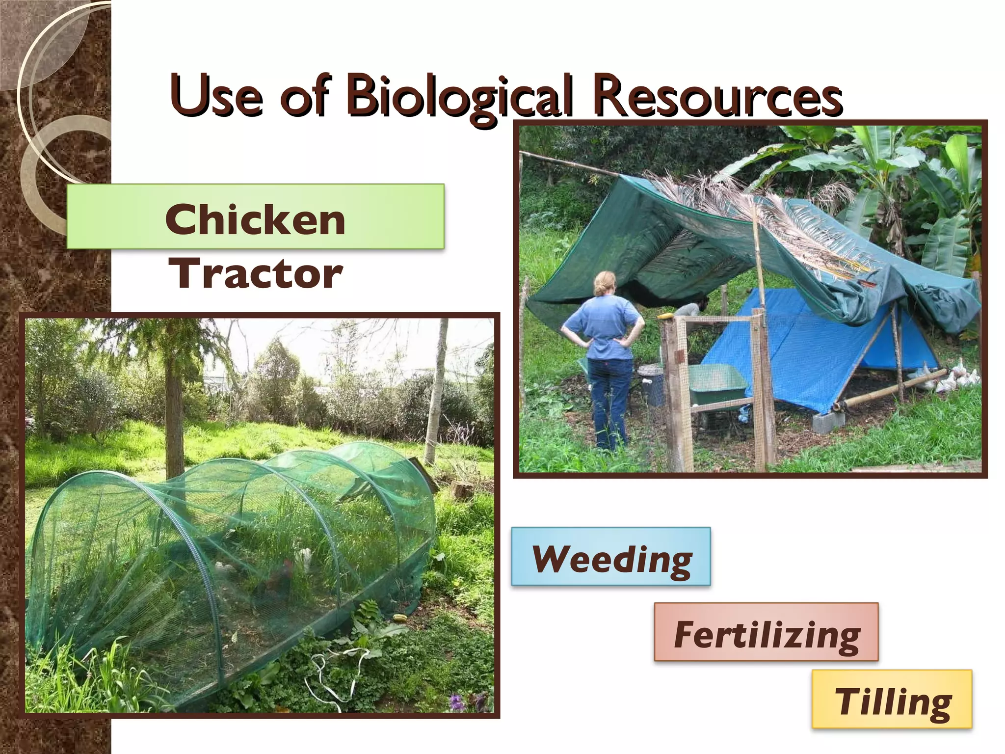 Use of Biological Resources Chicken Tractor Weeding Fertilizing Tilling 