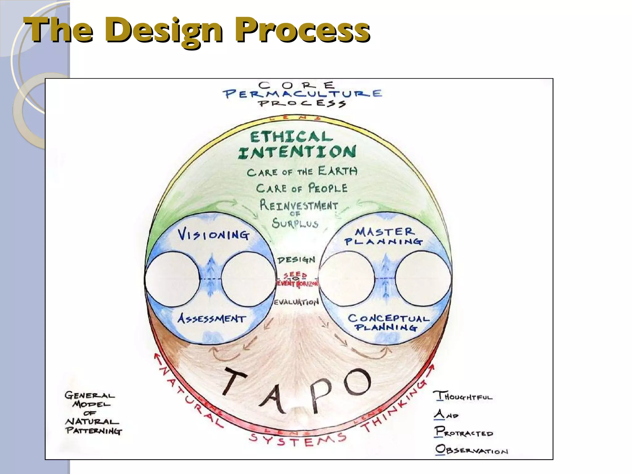 The Design Process 