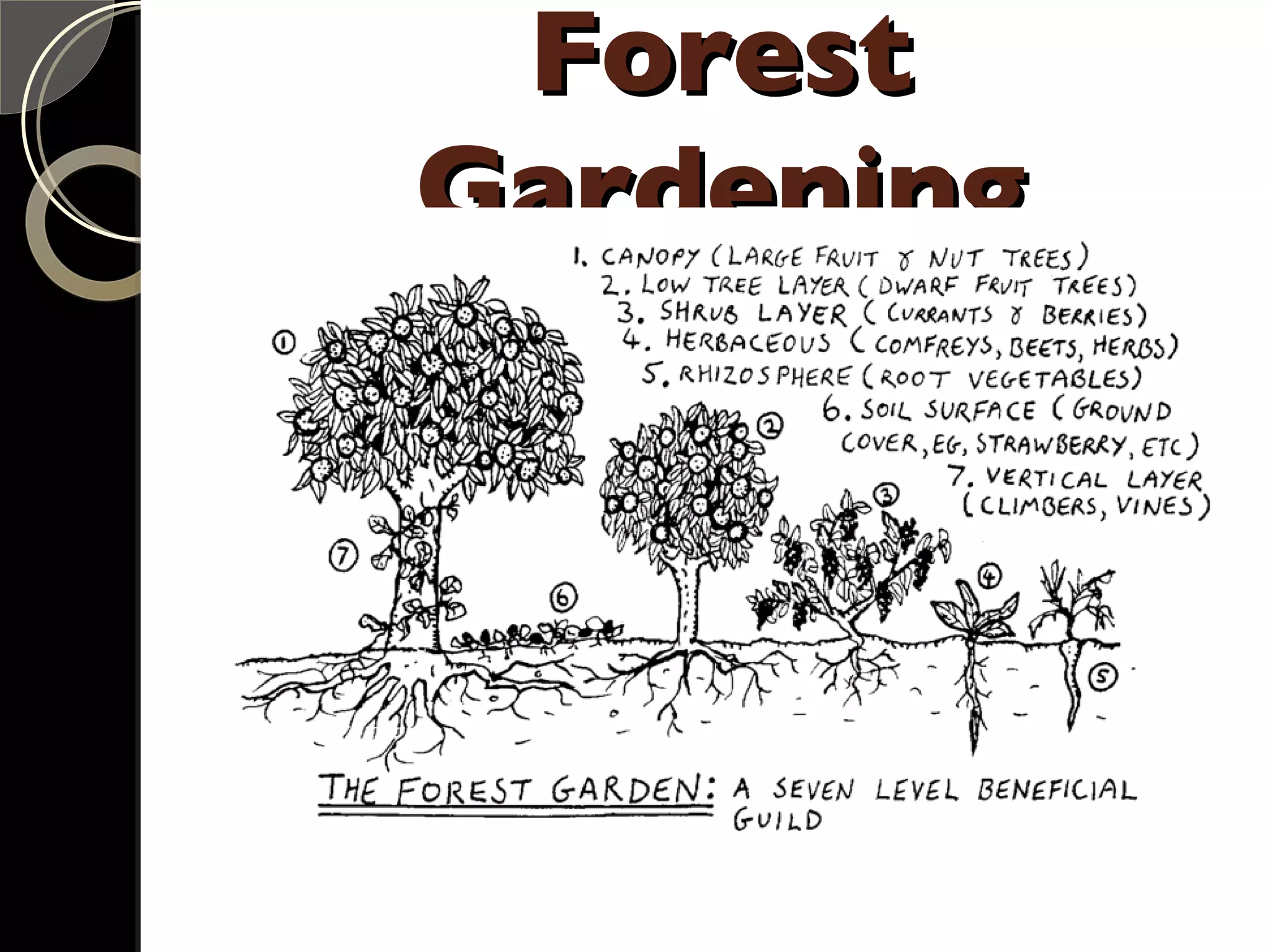 Forest Gardening 
