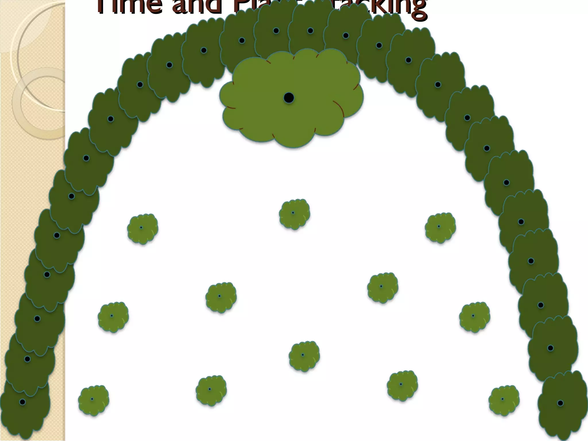 Time and Plant Stacking 