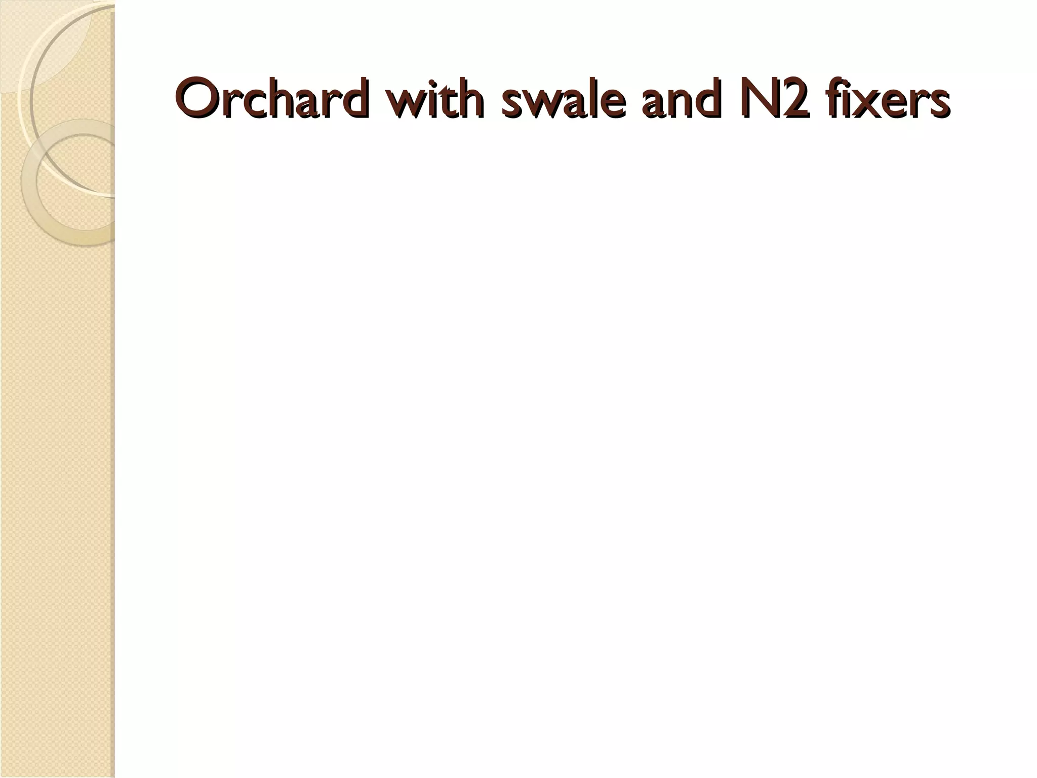 Orchard with swale and N2 fixers 