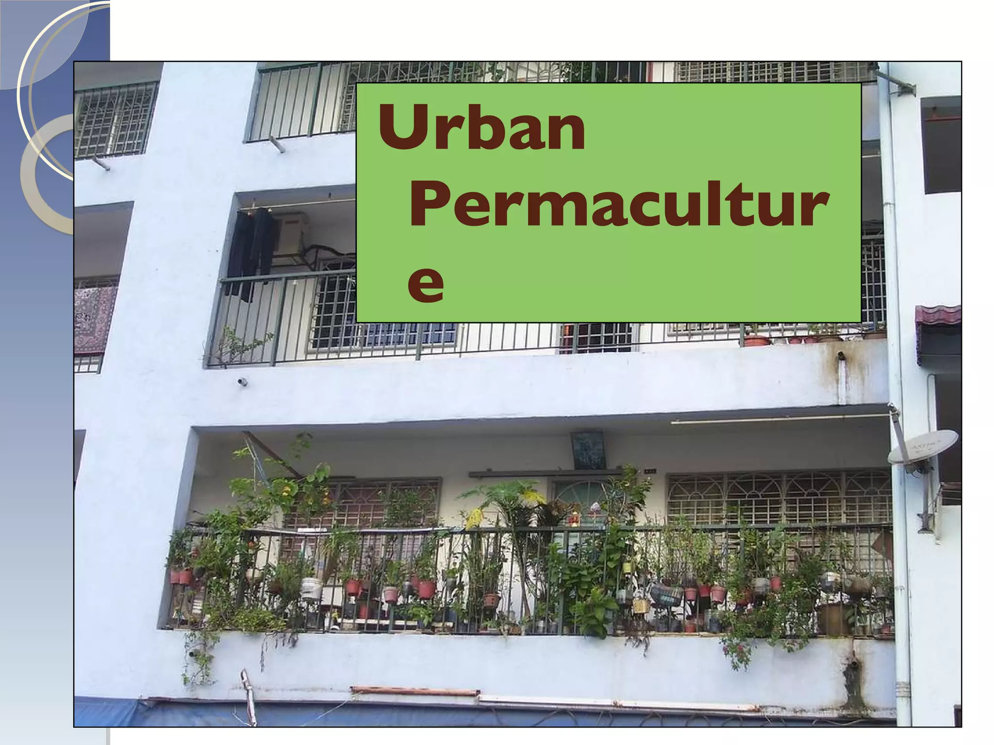 Urban Permaculture 