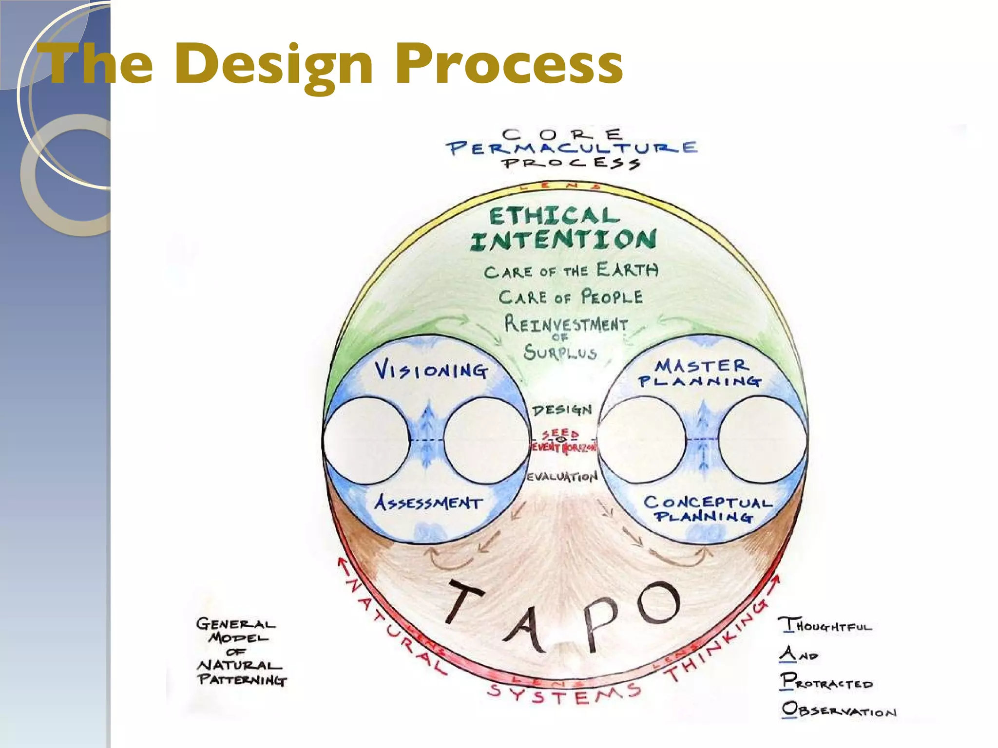The Design Process 