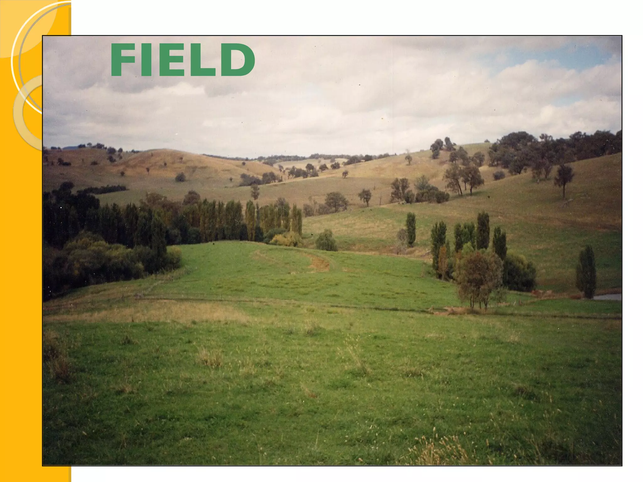 FIELD 