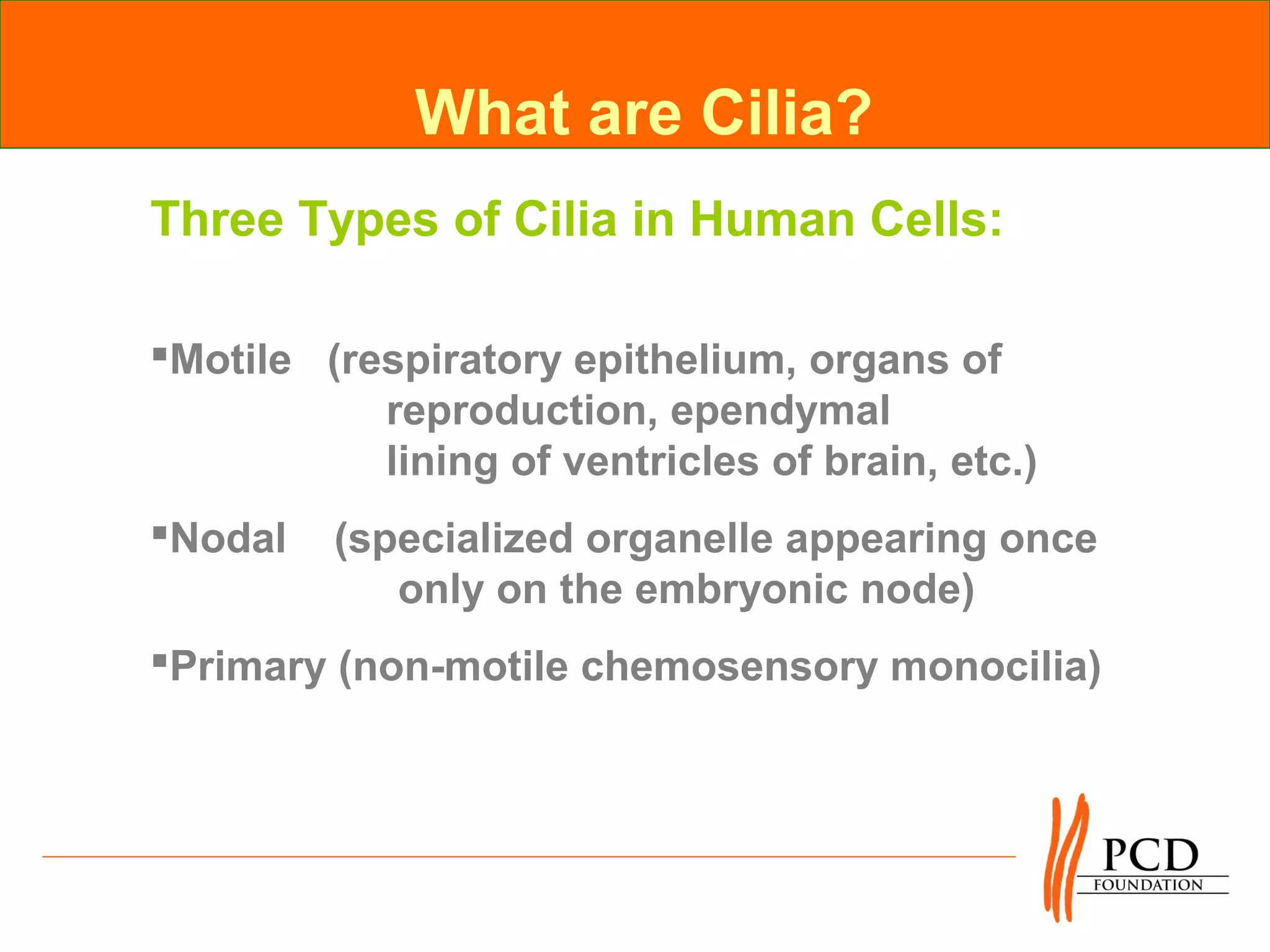 What are Cilia?
Three Types of Cilia in Human Cells:

Motile (respiratory epithelium, organs of
           reproduction, ependymal
           lining of ventricles of brain, etc.)
Nodal   (specialized organelle appearing once
            only on the embryonic node)
Primary (non-motile chemosensory monocilia)
 