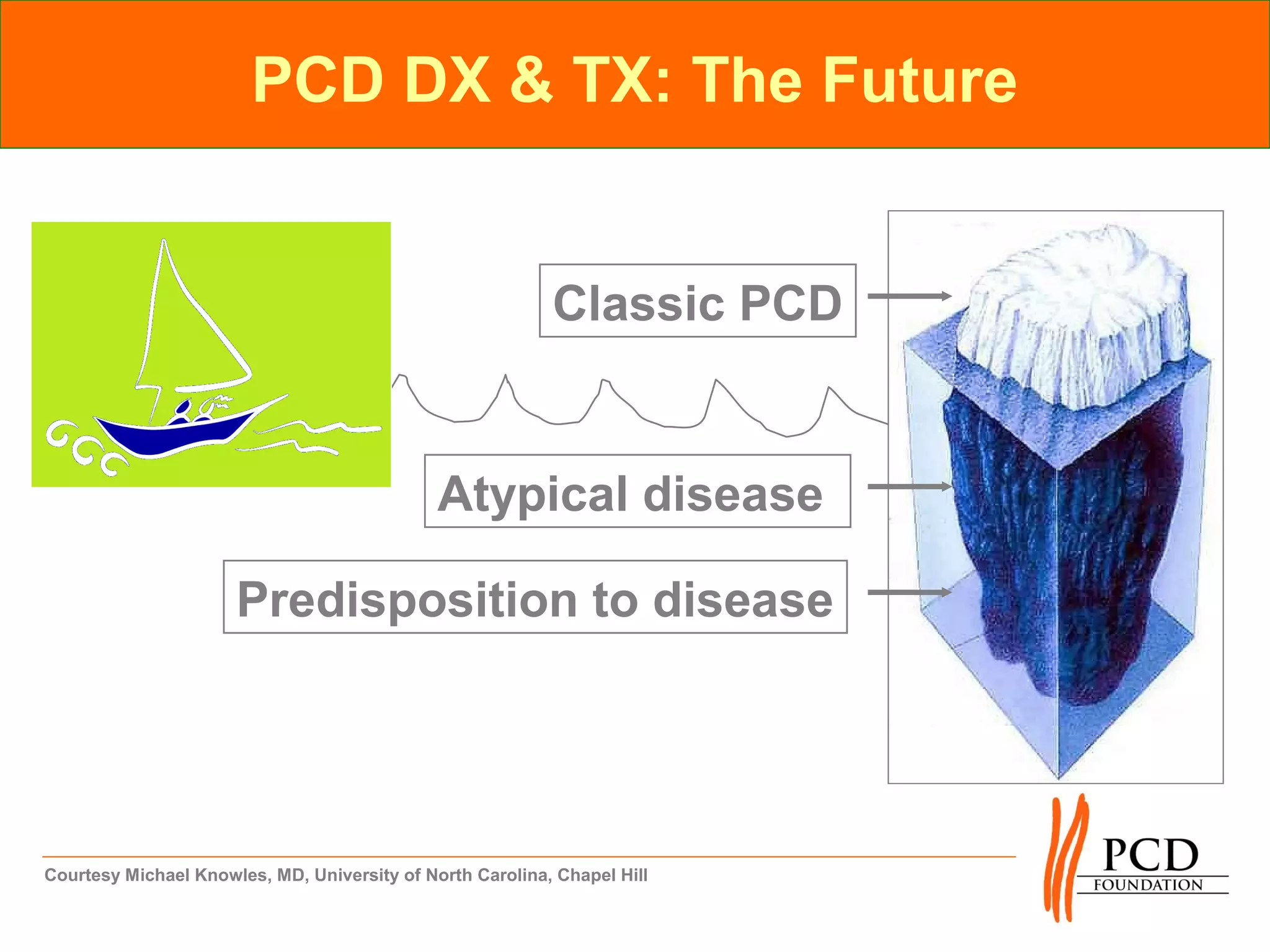 PCD DX & TX: The Future


                                                           Classic PCD


                                              Atypical disease

                      Predisposition to disease




Courtesy Michael Knowles, MD, University of North Carolina, Chapel Hill
 