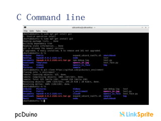 C Command line

 