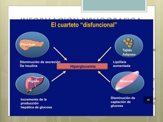 MIEL
La diabetes es una enfermedad crónica que aparece
debido a que el páncreas no fabrica la cantidad de
insulina que el cuerpo humano necesita, o bien la
fábrica de una calidad inferior. La insulina, una
hormona producida por el páncreas, es la principal
sustancia responsable del mantenimiento de los
valores adecuados de azúcar en sangre. Permite que
la glucosa sea transportada al interior de las células,
de modo que éstas produzcan energía o almacenen
la glucosa hasta que su utilización sea necesaria.
Cuando falla, origina un aumento excesivo del azúcar
que contiene la sangre (hiperglucemia). De hecho, el
nombre científico de la enfermedad es diabetes
mellitus, que significa "miel"
 