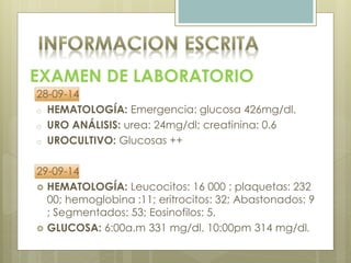 EXAMEN DE LABORATORIO
28-09-14
o HEMATOLOGÍA: Emergencia: glucosa 426mg/dl.
o URO ANÁLISIS: urea: 24mg/dl; creatinina: 0.6
o UROCULTIVO: Glucosas ++
29-09-14
 HEMATOLOGÍA: Leucocitos: 16 000 ; plaquetas: 232
00; hemoglobina :11; eritrocitos: 32; Abastonados: 9
; Segmentados: 53; Eosinofilos: 5.
 GLUCOSA: 6:00a.m 331 mg/dl. 10:00pm 314 mg/dl.
 