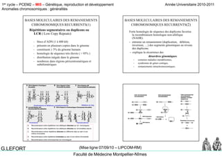 1er cycle – PCEM2 – MI5 – Génétique, reproduction et développement
Anomalies chromosomiques : généralités
Année Universitaire 2010-2011
Faculté de Médecine Montpellier-Nîmes
G.LEFORT (Mise ligne 07/09/10 – LIPCOM-RM)
BASES MOLECULAIRES DES REMANIEMENTS
CHROMOSOMIQUES RECURRENTS(1)
Répétitions segmentaires ou duplicons ou
LCR ( Low Copy Repeats):( py p )
– blocs d’ADN (1 à 400 kb)
– présents en plusieurs copies dans le génome
– constituent  5% du génome humain
– homologie de séquence très élevée ( > 95% )homologie de séquence très élevée ( > 95% )
– distribution inégale dans le génome
– nombreux dans régions péricentromériques et
subtélomériques
BASES MOLECULAIRES DES REMANIEMENTS
CHROMOSOMIQUES RECURRENTS(2)
Forte homologie de séquence des duplicons favorise
la recombinaison homologue non alléliquela recombinaison homologue non-allélique
(NAHR):
- entraine un remaniement (duplication, délétion,
inversion, …) des segments génomiques au niveau
des duplicons
- explique la récurrence desp q
désordres génomiques:
– certaines maladies mendéliennes,
– syndromes de gènes contigus,
– remaniements intrachromosomiques.
I i T l ti
Délétion et ringDuplications et délétions complémentaires
A. Recombinaison entre répétitions non-alléliques directes sur chr. homologues
B. Recombinaison entre répétitions non-alléliques directes sur chromatides sœurs
C. Recombinaison entres répétitions directes en différents sites au sein d’une
même chromatide
D. Recombinaison entre répétitions inversées au sein d’une même chromatide
E. Recombinaison entre chromosomes non homologues
Inversions Translocations
 