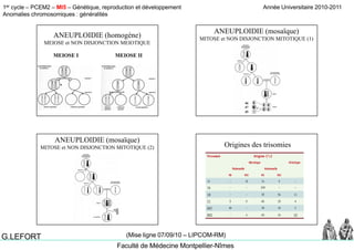 1er cycle – PCEM2 – MI5 – Génétique, reproduction et développement
Anomalies chromosomiques : généralités
Année Universitaire 2010-2011
Faculté de Médecine Montpellier-Nîmes
G.LEFORT (Mise ligne 07/09/10 – LIPCOM-RM)
ANEUPLOIDIE (homogène)
MEIOSE et NON DISJONCTION MEIOTIQUE
MEIOSE I MEIOSE IIMEIOSE I MEIOSE II
ANEUPLOIDIE (mosaïque)
MITOSE et NON DISJONCTION MITOTIQUE (1)
46
47
45
ANEUPLOIDIE (mosaïque)
MITOSE et NON DISJONCTION MITOTIQUE (2) Origines des trisomies
 
