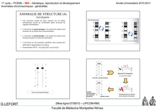 1er cycle – PCEM2 – MI5 – Génétique, reproduction et développement
Anomalies chromosomiques : généralités
Année Universitaire 2010-2011
Faculté de Médecine Montpellier-Nîmes
G.LEFORT (Mise ligne 07/09/10 – LIPCOM-RM)
• Une inversion résulte de deux cassures sur un même
chromosome suivies de recollement après inversion du
segment intermédiaire
ANOMALIE DE STRUCTURE (4)
INVERSION
segment intermédiaire.
• L’inversion est paracentrique si les points de cassure sont
localisés sur un même bras chromosomique.
• L’inversion est péricentrique si les points de cassure sont
localisés de part et d’autre du centromèrelocalisés de part et d autre du centromère.
• L’inversion est une anomalie équilibrée mais entraine des
difficultés d’appariement à la méiose.
• Nomenclature ISCN : inv(3)(p13p21) ou (p13q21)
1 1
2 2
3
3
4 4
5
6
5
66 6
Inversion paracentrique
1 1
2
3
2
4 4
5
4
1
1
5
3
2
2 6
3 4
65
6 6
35
Inversion paracentrique
Boucle d’inversion
au cours de la méiose
43
1
2
1
2
Gamète
normal porteur
de l’inversion
équilibrée
4
1
1
5
3
2
2 6
3 4
65
Crossing-over en dehors
de la boucle d’inversion
3
4
5
6
3
4
5
6
Gamète normal
 