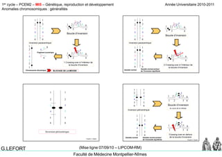 1er cycle – PCEM2 – MI5 – Génétique, reproduction et développement
Anomalies chromosomiques : généralités
Année Universitaire 2010-2011
Faculté de Médecine Montpellier-Nîmes
G.LEFORT (Mise ligne 07/09/10 – LIPCOM-RM)
1 1
2
3
2
4 4
5
4
1
1
5
3
2
2 6
3 4
65
Boucle d’inversion
5
35
6 6
Inversion paracentrique
4
1 5
3
2 3 4
65
1
2
6
4
Fragment acentrique
3
1 Crossing-over à l’intérieur de
la boucle d’inversion
1
1
52
2 6
65
2
5
4
1
63
Chromosome dicentrique BLOCAGE DE LA MEIOSE
3
1 1
2
3
2
4 4
5
4
1
1
5
3
2
2 6
3 4
65
B l d’i i35
6 6
Inversion paracentrique
Boucle d’inversion
43
4
1 1
2 2
2 Crossing-over à l’intérieur de
la boucle d’inversion
1
1
52
2 6
3 4
653
3
4 4
5
6
5
6
Gamète normal
Gamète normal porteur
de l’inversion équilibrée
1 1
2 2
3
5
4 3
5
6
4
66 6
Inversion péricentrique
D’après C. Abadie
4
1
1
5
3
2
2 6
3
4 6
5
1 1
2
3
2
5
4 3
5
4
Boucle d’inversion
au cours de la méiose
1
2
1
2
43
Inversion péricentrique
55
6 6
4
3
5
6
5
4
3
6
4
1
1
5
3
2
2 6
3 4 6
5
Crossing-over en dehors
de la boucle d’inversionGamète normal porteur
de l’anomalie équilibrée
Gamète normal
D’après C. Abadie
 