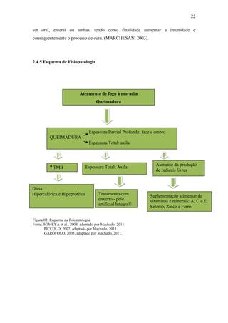 22

ser oral, enteral ou ambas, tendo como finalidade aumentar a imunidade e
consequentemente o processo de cura. (MARCHESAN, 2003).




2.4.5 Esquema de Fisiopatologia




                           Ateamento de fogo à moradia
                                     Queimadura




                                 Espessura Parcial Profunda: face e ombro
          QUEIMADURA
                                 Espessura Total: axila



                                                                    Aumento da produção
            TMB                Espessura Total: Axila
                                                                    de radicais livres



Dieta
Hipercalórica e Hipeprotéica           Tratamento com            Suplementação alimentar de
                                       enxerto - pele            vitaminas e minerais: A, C e E,
                                       artificial Integra®
                                                                 Selênio, Zinco e Ferro.

Figura 03: Esquema da fisiopatologia.
Fonte: SOMEYA et al., 2004, adaptado por Machado, 2011.
       PICCOLO, 2002, adaptado por Machado, 2011.
       GARÓFOLO, 2005, adaptado por Machado, 2011.
 