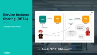 Service Instance
Sharing (BETA)
Developer Productivity
●  Beta in PCF 2.1 | Opt-in only*
 