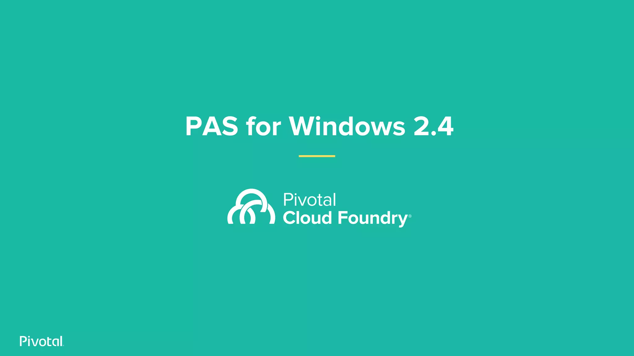 PAS for Windows 2.4
 