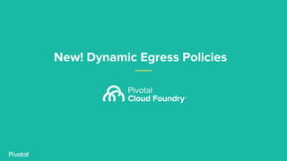 New! Dynamic Egress Policies
 