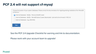 PCF 2.4 will not support cf-mysql
See the PCF 2.4 Upgrade Checklist for warning and link to documentation.
Please work with your account team to upgrade!
 