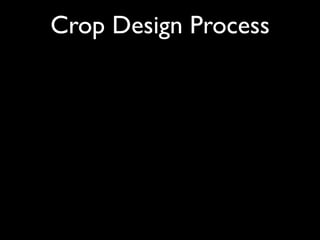 Crop Design Process
 