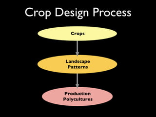 Crop Design Process
 