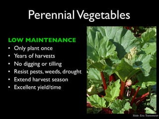Perennial Vegetables
LOW MAINTENANCE
• Only plant once
• Years of harvests
• No digging or tilling
• Resist pests, weeds, drought
• Extend harvest season
• Excellent yield/time



                                 Slide: Eric Toensmeier
 