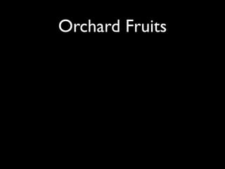 Orchard Fruits
 