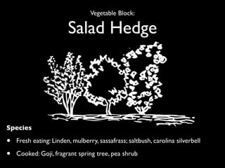 Vegetable Block:

                        Salad Hedge




Species

•   Fresh eating: Linden, mulberry, sassafrass; saltbush, carolina silverbell

•   Cooked: Goji, fragrant spring tree, pea shrub
 