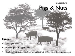 Silvopasture:

                                         Pigs & Nuts




Species

•   Heritage-breed pigs

•   Pasture grass & legume mix

•   Black walnut, butternut, heartnut, chestnut, hickory, northern pecan, oak
 