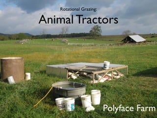 Rotational Grazing:

Animal Tractors




                          Polyface Farm
 