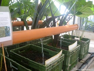 CH_CS_waterﬂow




                 Photo: Ethan Roland
 