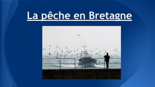 La pêche en Bretagne 
 