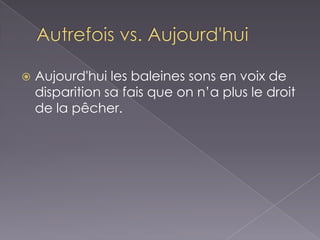 Autrefois vs. Aujourd'hui Aujourd'hui les baleines sons en voix de disparition sa fais que on n’a plus le droit de la pêcher.