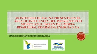 MONITOREO DE FAUNA PRESENTE EN EL ÁREA
DE INFLUENCIA DEL PROYECTO PCH MORRO
AZUL (BELEN DE UMBRIA-RISARALDA),
RISARALDA ENERGÍA S.A.S
MONITOREO DE FAUNA PRESENTE EN EL
ÁREA DE INFLUENCIA DEL PROYECTO PCH
MORRO AZUL (BELEN DE UMBRIA-
RISARALDA), RISARALDA ENERGÍA S.A.S
CARLOS HERNÁN RODRÍGUEZ GARCÍA
 