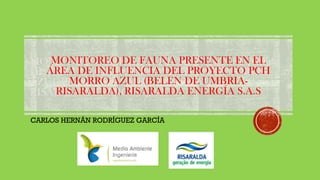 MONITOREO DE FAUNA PRESENTE EN EL ÁREA
DE INFLUENCIA DEL PROYECTO PCH MORRO
AZUL (BELEN DE UMBRIA-RISARALDA),
RISARALDA EN...