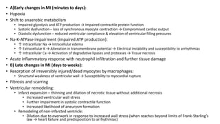 • A)Early changes in MI (minutes to days):
• Hypoxia
• Shift to anaerobic metabolism
• Impaired glycolysis and ATP production → Impaired contractile protein function
• Systolic dysfunction – loss of synchronous myocyte contraction → Compromised cardiac output
• Diastolic dysfunction – reduced ventricular compliance & elevation of ventricular filling pressures
• Na-K-ATPase impairment (impaired ATP production):
• ↑ Intracellular Na → Intracellular edema
• ↑ Extracellular K → Alteration in transmembrane potential → Electrical instability and susceptibility to arrhythmias
• ↑ Intracellular Ca → Activation of degradative lipases and proteases → Tissue necrosis
• Acute inflammatory response with neutrophil infiltration and further tissue damage
• B) Late changes in MI (days to weeks):
• Resorption of irreversibly injured/dead myocytes by macrophages:
• Structural weakness of ventricular wall → Susceptibility to myocardial rupture
• Fibrosis and scarring
• Ventricular remodeling:
• Infarct expansion – thinning and dilation of necrotic tissue without additional necrosis
• Increased ventricular wall stress
• Further impairment in systolic contractile function
• Increased likelihood of aneurysm formation
• Remodeling of non-infarcted ventricle:
• Dilation due to overwork in response to increased wall stress (when reaches beyond limits of Frank-Starling’s
law → heart failure and predisposition to arrhythmias)
 
