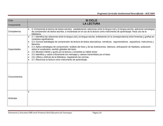 Pci De Red Yaurisque