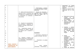 T
E
C
I
E
N
C
I
A
Y
A
M
B
I
E
N
T
E
SERES VIVIENTES Y
CONSERVACIÓN DEL
MEDIO AMBIENTE
1.7.- Aplica normas de prevención y
seguridad frente a diferentes tipos
de riesgos de su integridad física en
la manipulación de materiales e
instrumentos.
2.1.- Describe las características
de crecimiento y desarrollo de
plantas y animales, determinando
su ciclo vital..
2.2.- Experimenta procesos de
crecimiento en plantas, variando
los factores que lo propician o
dificultan.
2.3.- Identifica y clasifica a los
seres vivientes por su alimentación,
en productores, consumidores y
descomponedores.
* Enfermedades y parásitos
comunes que afectan la salud:
prevención.
* Normas de prevención y
seguridad frente a diferentes
tipos de riesgos para la
integridad física.
Ecosistema
* Crecimiento y desarrollo de
plantas y animales: ciclo vital.
* Crecimiento de plantas:
factores.
* Seres vivientes:
productores, consumidores y
experimenta su cuerpo
durante el crecimiento y
desarrollo.
• Elabora un pequeño álbum
relacionado con su ciclo
vital.
• Determinan la forma de
contagio de las
enfermedades comunes
de su localidad
• Aplica medidas de
prevención para evitar
enfermedades
comunes.
• Establece y practica
normas de prevención y
seguridad para cuidar
su integridad física
frente a diferentes
riesgos.
• Señala las
características
principales en el
desarrollo de plantas y
animales comunes de
su localidad.
• Descubre y registra
características y
factores en el
crecimiento de una
planta.
• Explica las relaciones
 