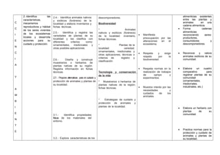 C
C
I
E
N
C
I
A
Y
A
M
B
I
E
N
T
E
2.-Identifica las
características,
mecanismos
reproductivos y hábitat
de los seres vivientes
de los ecosistemas
locales y desarrolla
acciones para su
cuidado y protección.
2.4.- Identifica animales nativos
y exóticos (foráneos) de la
localidad y elabora inventarios y
fichas técnicas.
2.5.- Identifica y registra las
variedades de plantas de su
localidad y las clasifica con
diferentes criterios como:
ornamentales, medicinales y
otras posibles aplicaciones.
2.6.- Diseña y construye
muestrarios o herbarios de
plantas nativas de su región.
Registra información en fichas
técnicas.
2.7.- Propone alternativas para el cuidado y
protección de animales y plantas de
su localidad.
3.1.- Identifica propiedades
físicas de los materiales del
entorno.
3.2.- Explora características de los
descomponedores.
Biodiversidad
* Animales
nativos y exóticos (foráneos)
de la localidad: inventario,
fichas técnicas.
* Plantas de la
localidad: variedad;
ornamentales, medicinales y
otras aplicaciones, técnicas o
criterios de registro y
clasificación.
Tecnología y conservación
de la vida
* Muestrarios o herbarios de
plantas nativas de la región;
fichas técnicas.
* Estrategias de cuidado y
protección de animales y
plantas de la localidad.
• Manifiesta
preocupación por las
alteraciones en el
ecosistema.
• Respeta y exige
respeto por la
biodiversidad.
• Respeta normas en la
realización de trabajos
de campo y
experimentos.
• Muestra interés por las
necesidades y
cuidados de los
animales.
alimenticias existentes
entre las plantas y
animales en una
cadena alimenticia.
• Forma cadenas
alimenticias
reconociendo seres:
productores,
consumidores y
descomponedores.
• Reconoce y valora
animales exóticos de su
comunidad.
• Elabora un cuadro
comparativo para
registrar plantas de su
comunidad
(ornamentales,
medicinales,
industriales, etc.)
• Elabora un herbario con
plantas de su
comunidad.
• Practica normas para la
protección y cuidado de
animales y plantas de
su localidad.
 