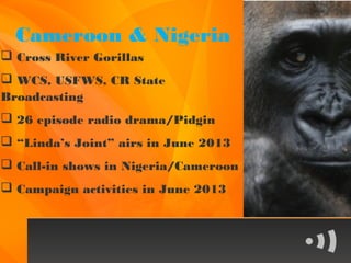 Cameroon & Nigeria
 Cross River Gorillas
 WCS, USFWS, CR State
Broadcasting
 26 episode radio drama/Pidgin
 “Linda’s Joint” airs in June 2013
 Call-in shows in Nigeria/Cameroon
 Campaign activities in June 2013
 