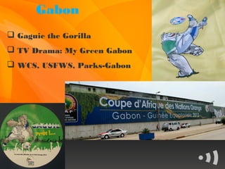 Gabon
 Gaguie the Gorilla
 TV Drama: My Green Gabon
 WCS, USFWS, Parks-Gabon
 