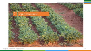 Presentation at the 95th Governing Board meeting (Program Committee) By Research Program: Innovation Systems for the Drylands