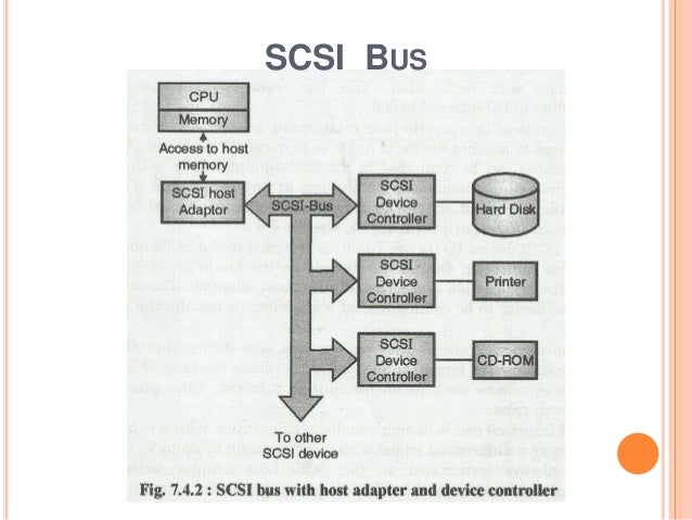 Pci usb scsi Bus scsi-viquip-dia-l-enciclop-dia-lliure