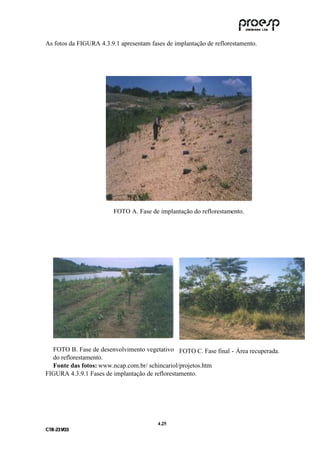 As fotos da FIGURA 4.3.9.1 apresentam fases de implantação de reflorestamento.




                         FOTO A. Fase de implantação do reflorestamento.




  FOTO B. Fase de desenvolvimento vegetativo FOTO C. Fase final - Área recuperada.
  do reflorestamento.
  Fonte das fotos: www.ncap.com.br/ schincariol/projetos.htm
FIGURA 4.3.9.1 Fases de implantação de reflorestamento.




                                         4 .25
C TR --231//03
C TR 23 1 03
 