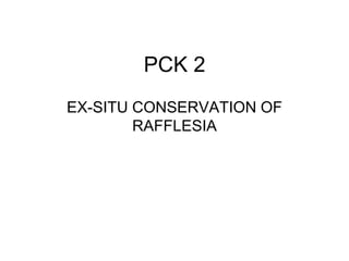 PCK 2
EX-SITU CONSERVATION OF
RAFFLESIA
 
