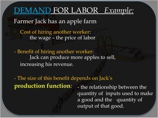 Farmer Jack has an apple farm
- Cost of hiring another worker:
the wage – the price of labor
- Benefit of hiring another worker:
Jack can produce more apples to sell,
increasing his revenue.
- The size of this benefit depends on Jack’s
production function:
DEMAND FOR LABOR Example:
- the relationship between the
quantity of inputs used to make
a good and the quantity of
output of that good.
 
