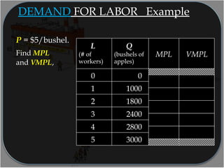 P = $5/bushel.
Find MPL
and VMPL,
30005
28004
24003
18002
10001
00
VMPLMPL
Q
(bushels of
apples)
L
(# of
workers)
DEMAND FOR LABOR Example
 