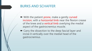 BURKS AND SCHAFFER
 With the patient prone, make a gently curved
incision, with a horizontal limb near the flexion crease
of the knee and a vertical limb overlying the medial
aspect of the gastrocnemius muscle.
 Carry the dissection to the deep fascial layer and
incise it vertically over the medial head of the
gastrocnemius.
 