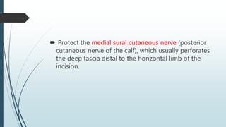  Protect the medial sural cutaneous nerve (posterior
cutaneous nerve of the calf), which usually perforates
the deep fascia distal to the horizontal limb of the
incision.
 